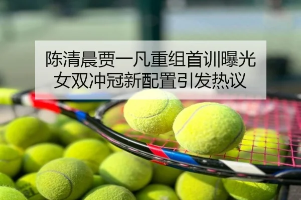 陈清晨贾一凡重组首训曝光 女双冲冠新配置引发热议