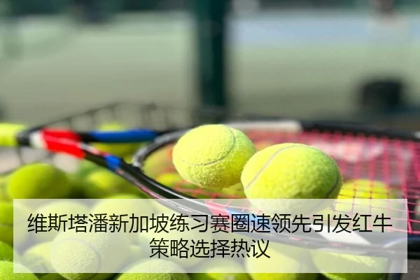 维斯塔潘新加坡练习赛圈速领先引发红牛策略选择热议